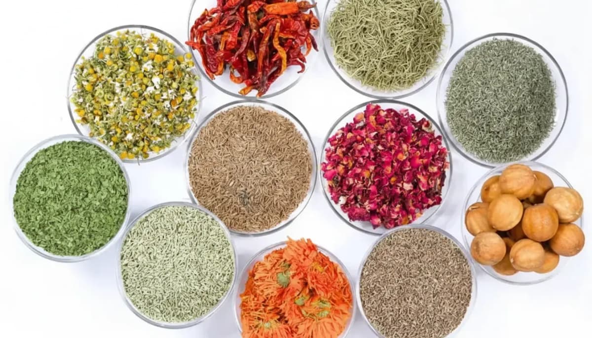 Egyptian herbs farm