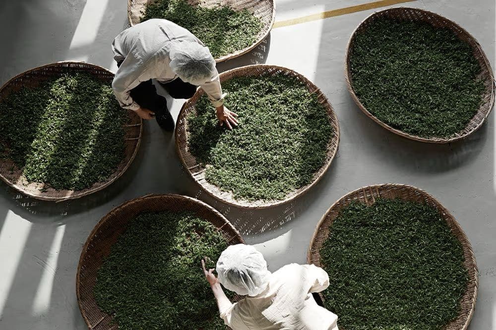 Traditional Drying