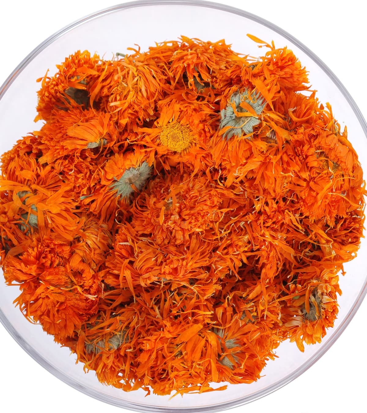 Egyptian Calendula — Bulk Dried Calendula Petals Supplier