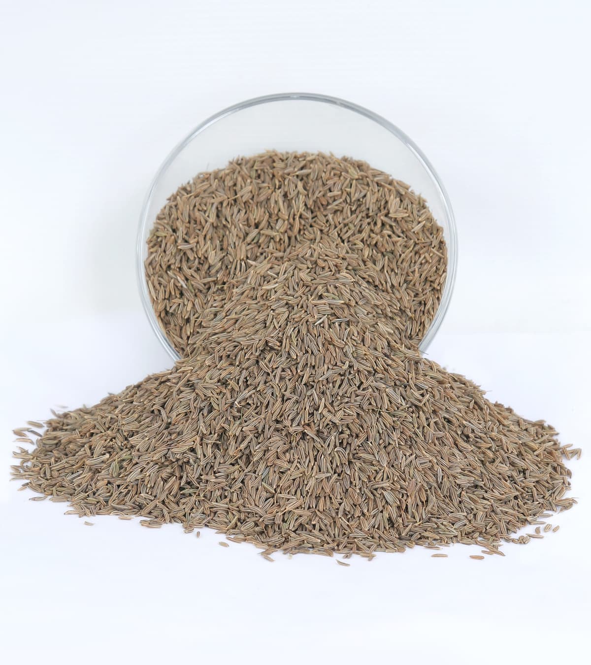 Egyptian Caraway Seeds — Bulk Caraway Supplier