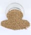 Coriander Seeds