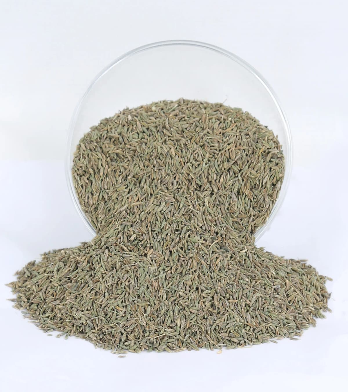 Cumin Seeds for Spice Distribution & Wholesale