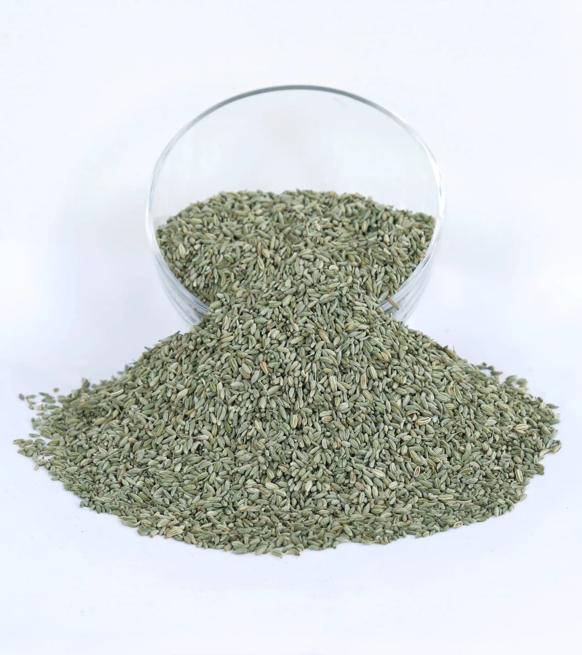 Egyptian Fennel Seeds — Bulk Fennel Supplier