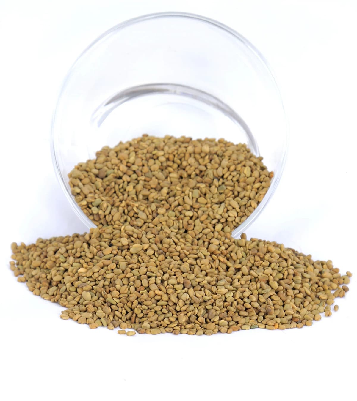 Egyptian Fenugreek Seeds — Bulk Fenugreek Supplier