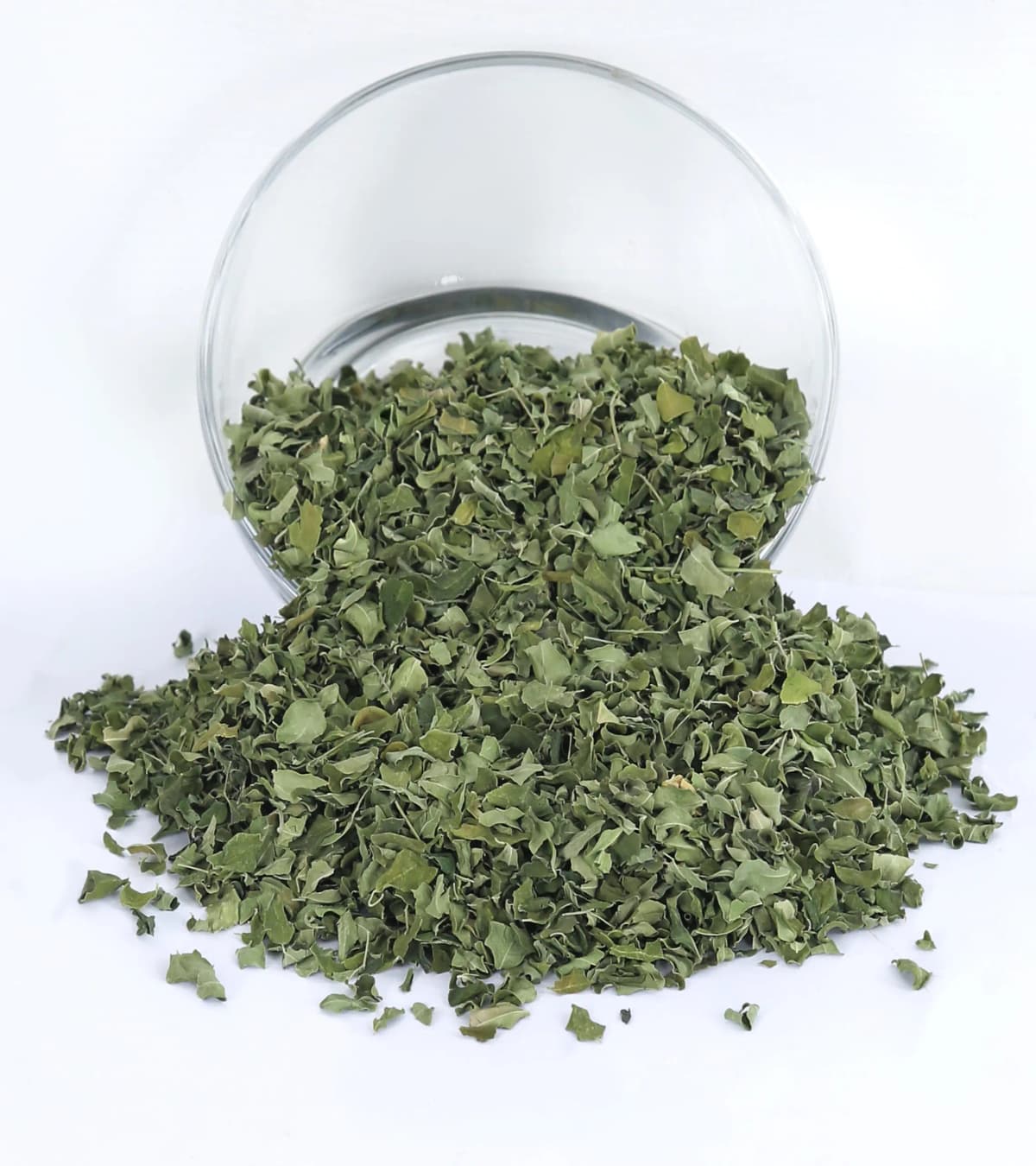 Moringa for Pharmaceutical & Nutraceutical