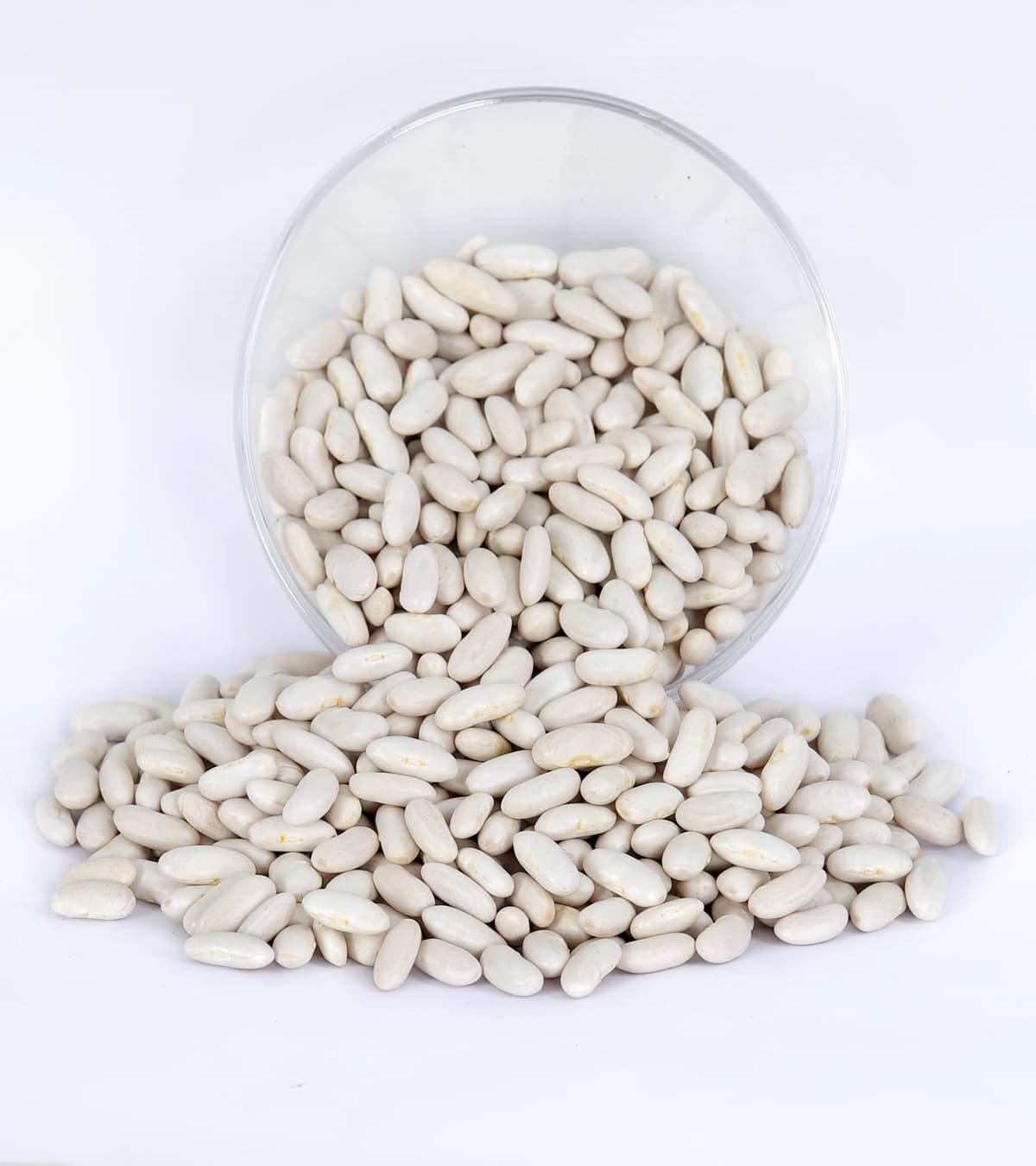 Navy Beans