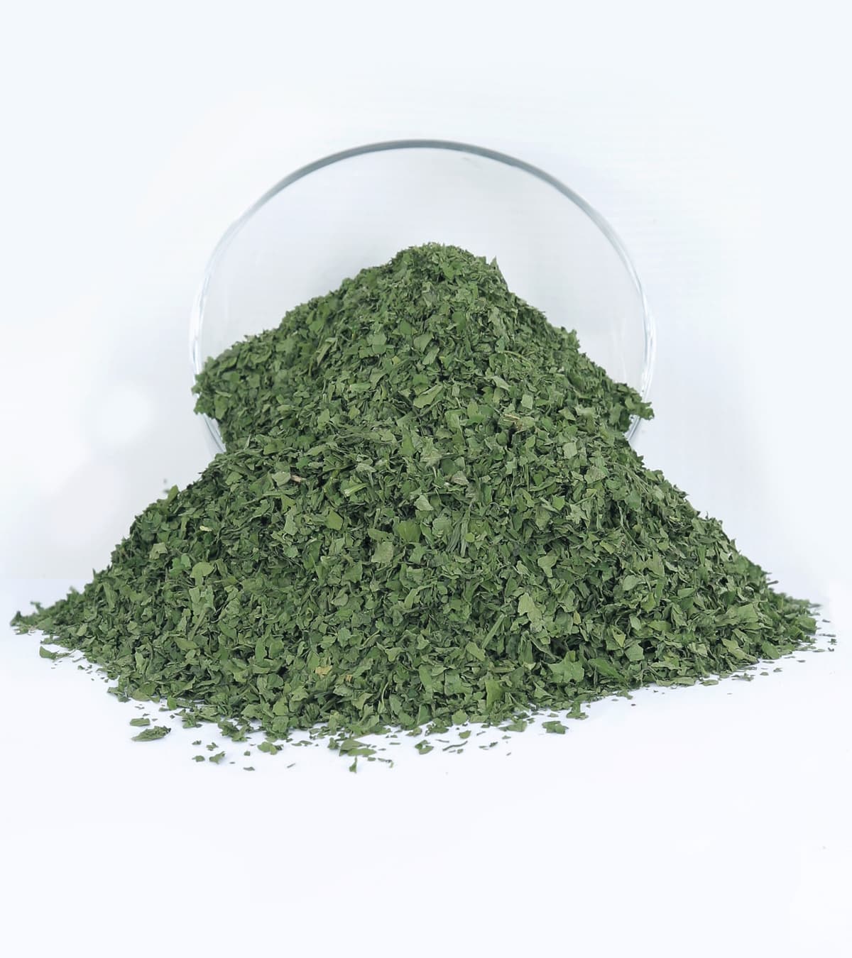 Egyptian Parsley — Bulk Dried Parsley Leaves Exporter