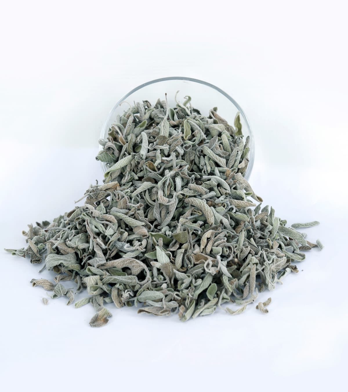 Egyptian Sage — Bulk Dried Sage Leaves Exporter