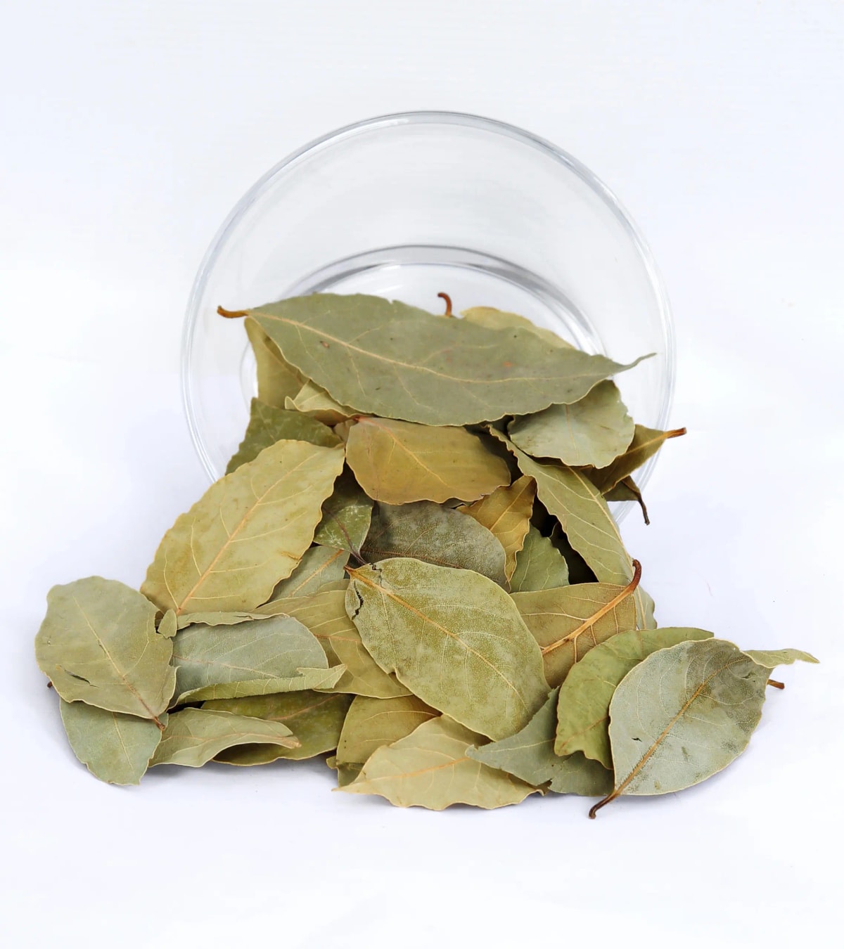 Bay Leaves - Whole Leaves, Broken Leaves, Powder from Egypt for bulk export