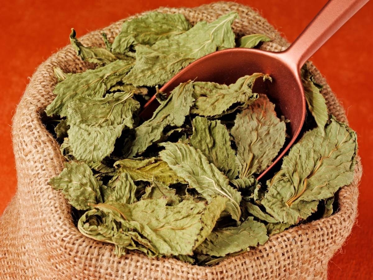 Mulukhiyah - Dried Leaves (Whole or Crushed) from Egypt for bulk export