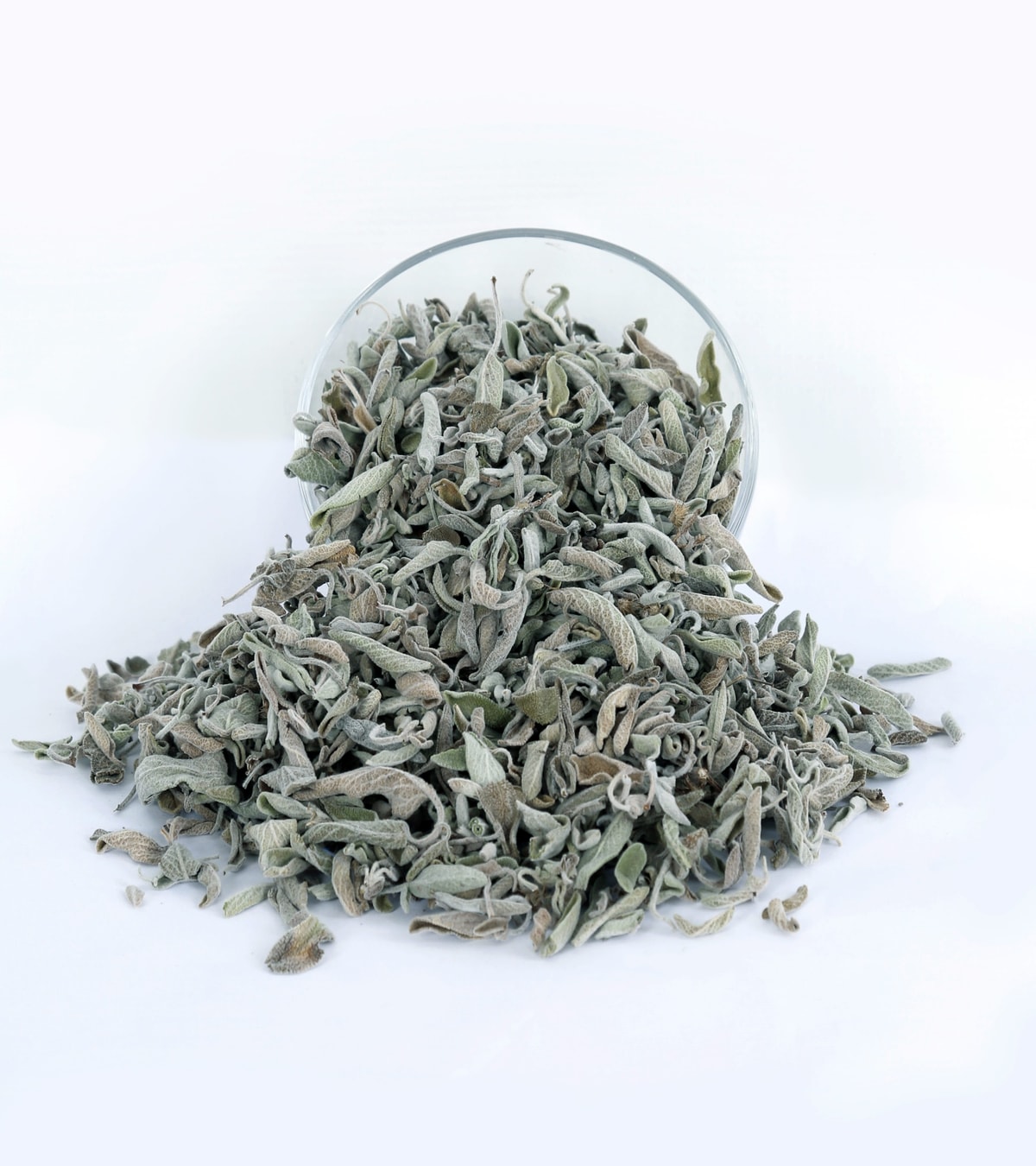 Egyptian Sage — Bulk Dried Sage Leaves Exporter - Product