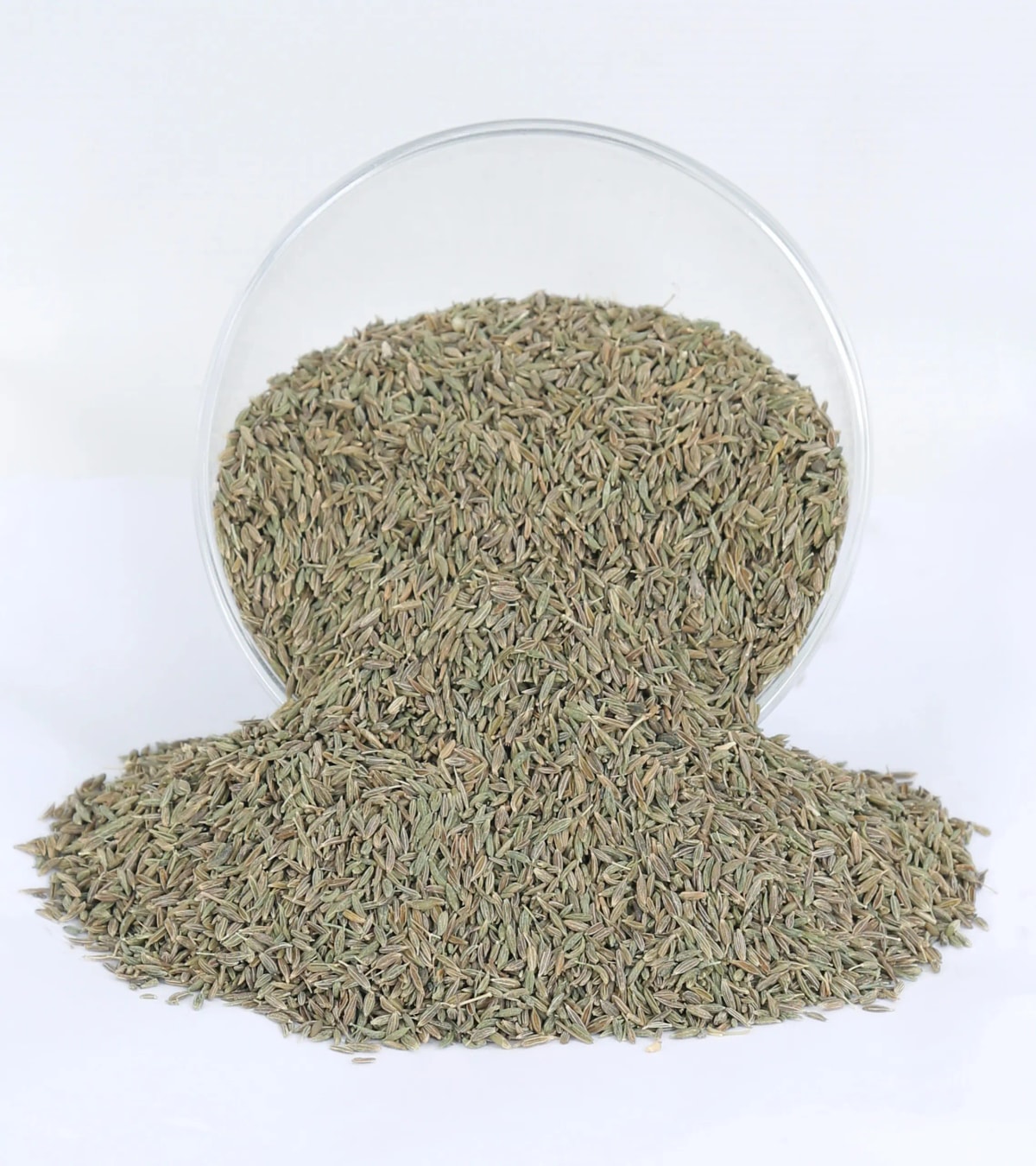 Cumin Seeds for Spice Distribution & Wholesale