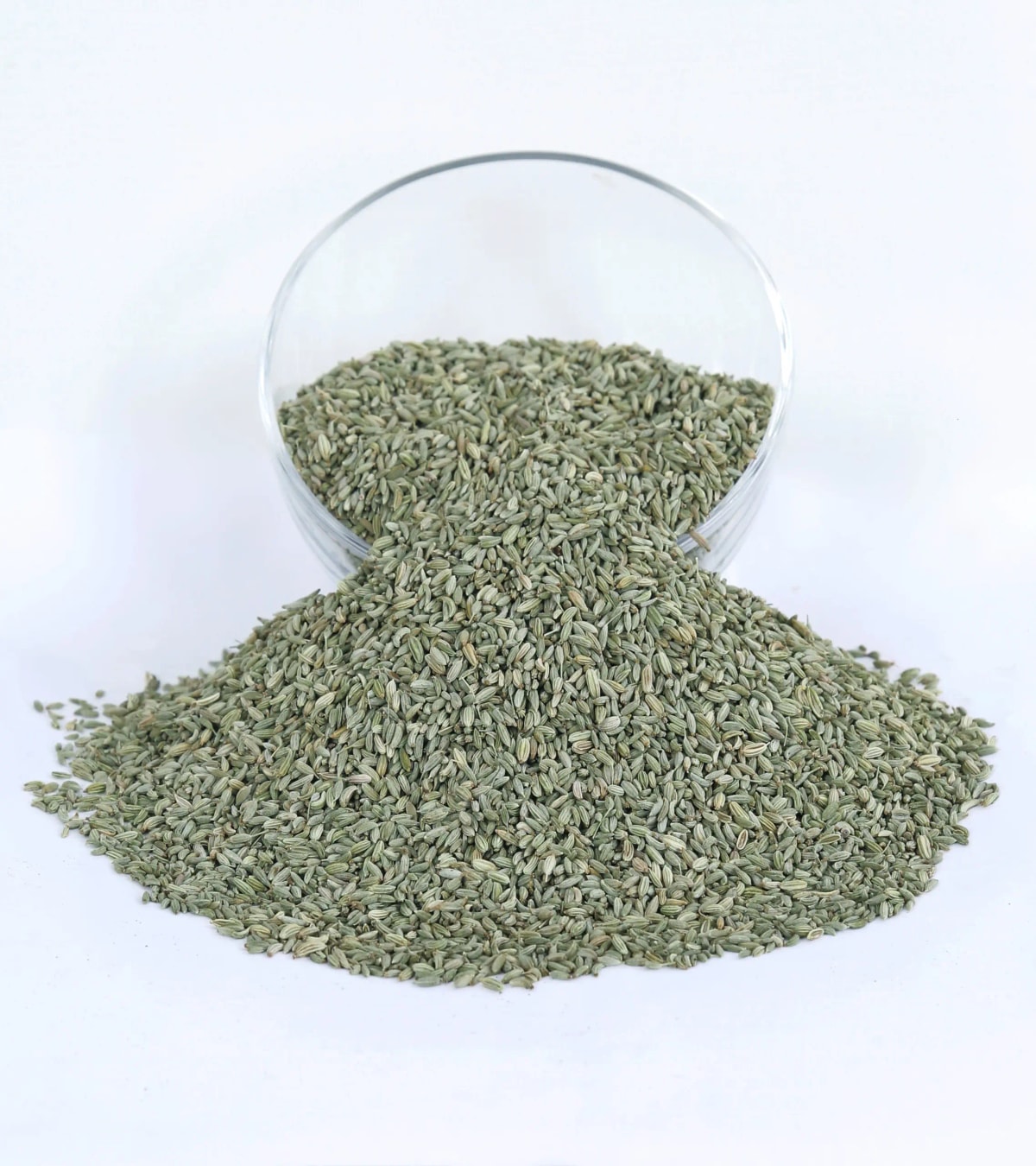 Fennel Seeds for Spice Distribution & Wholesale