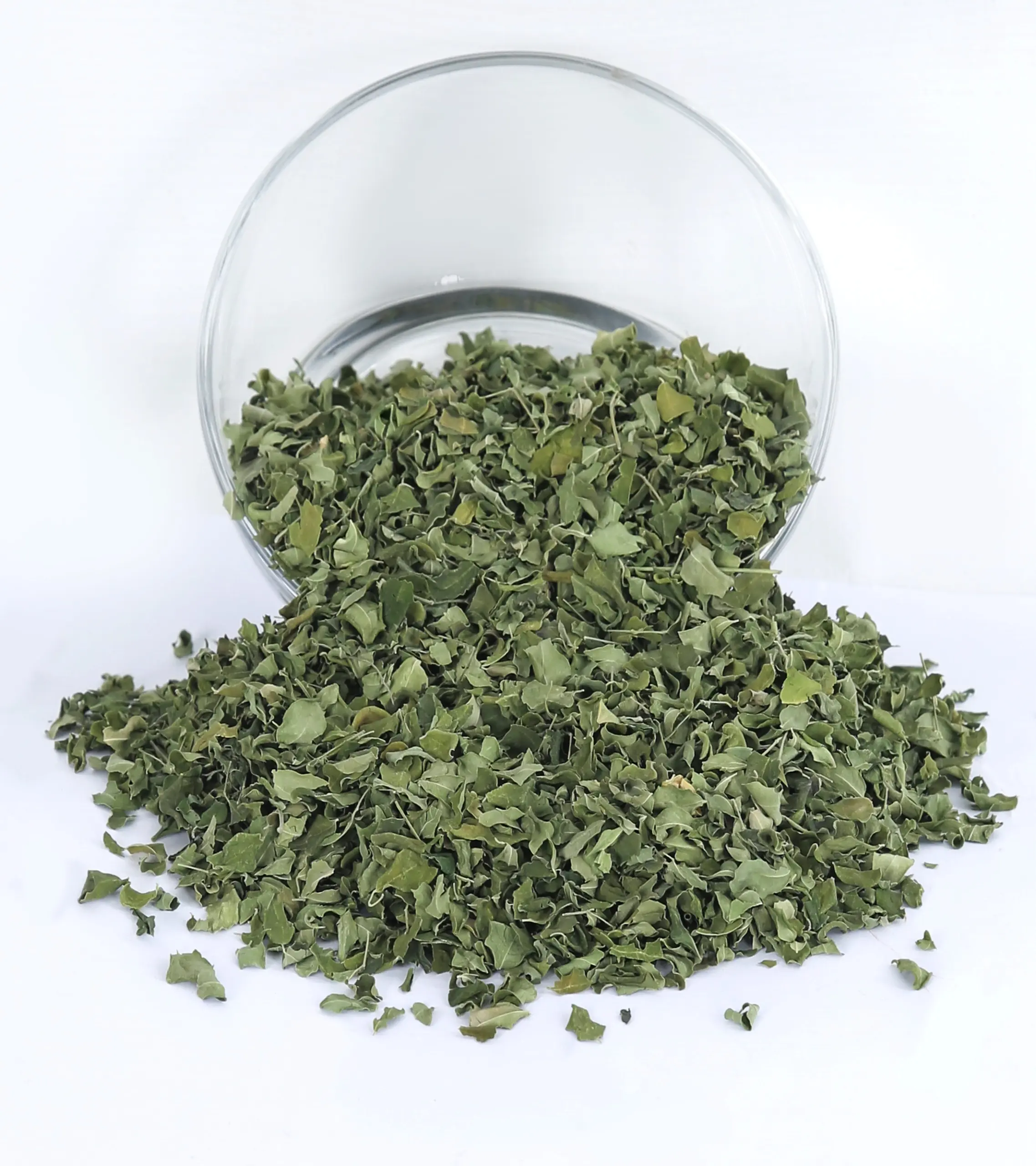 Moringa for Pharmaceutical & Nutraceutical